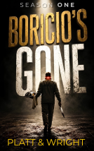 book cover for Boricio's Gone