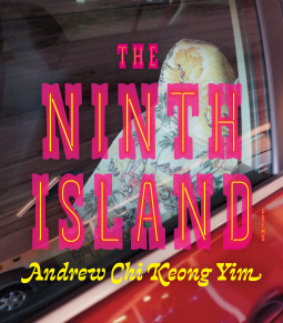 book cover for The Ninth Island