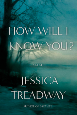 book cover for How Will I Know You?