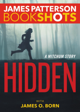 book cover for Hidden