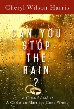book cover for Can You Stop The Rain?