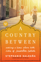 book cover for A Country Between
