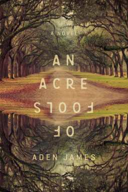 book cover for An Acre of Fools