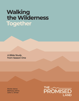book cover for Walking the Wilderness Together