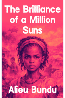 book cover for The Brilliance of a Million Suns