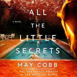 book cover for All the Little Secrets