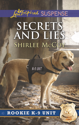 book cover for Secrets and Lies