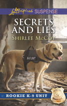 book cover for Secrets and Lies