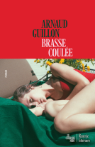 Couverture du livre pour Brasse coulée