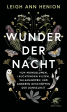 Buchcover für Wunder der Nacht