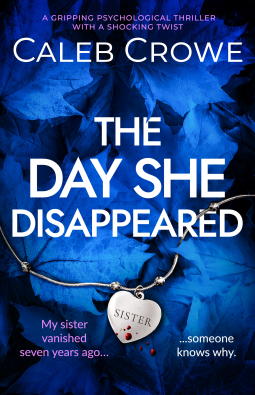 book cover for The Day She Disappeared