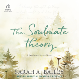 book cover for The Soulmate Theory