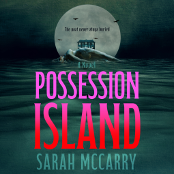 book cover for Possession Island