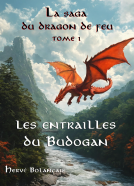 Couverture du livre pour La Saga du dragon de feu – Tome 1