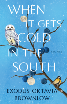 book cover for When It Gets Cold in the South