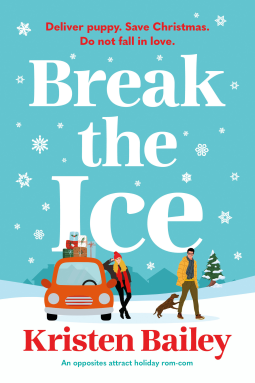 book cover for Break the Ice