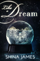 book cover for Like a Dream