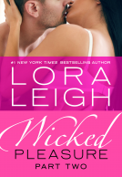 book cover for Wicked Pleasure: Part 2