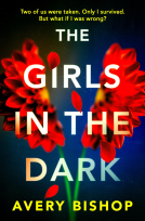 book cover for The Girls in the Dark