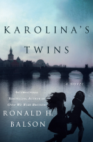 book cover for Karolina's Twins