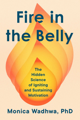 book cover for Fire in the Belly