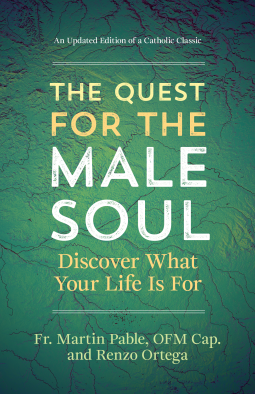 book cover for The Quest for the Male Soul