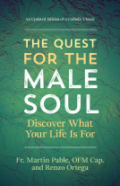 book cover for The Quest for the Male Soul