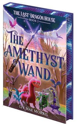 book cover for The Amethyst Wand (The Last Dragon House #2)
