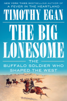 book cover for The Big Lonesome