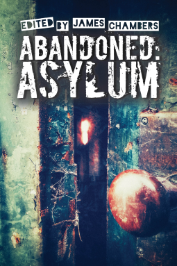 book cover for Abandoned: Asylum