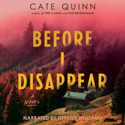 book cover for Before I Disappear