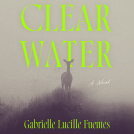 book cover for Clear Water