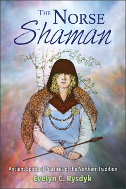book cover for The Norse Shaman