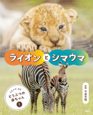くらべてよむどうぶつの赤ちゃん　①ライオンとシマウマ 表紙