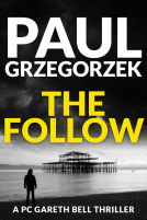 book cover for The Follow