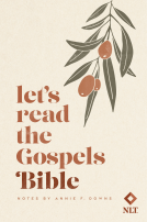 book cover for Let's Read the Gospels Bible