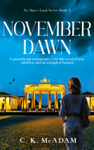 book cover for November Dawn