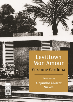 book cover for Levittown Mon Amour