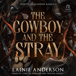 book cover for The Cowboy and the Stray