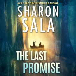 book cover for The Last Promise