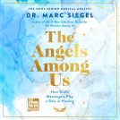 book cover for The Angels Among Us