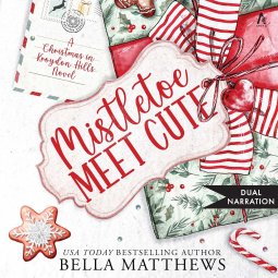 book cover for Mistletoe Meet Cute
