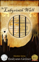 book cover for The Labyrinth Wall