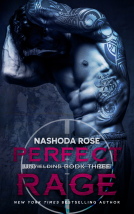 book cover for Perfect Rage
