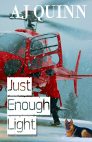 book cover for Just Enough Light