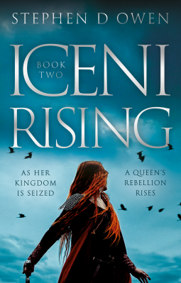 book cover for Iceni Rising