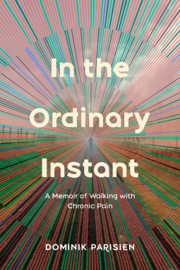 book cover for In the Ordinary Instant