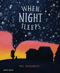 book cover for When Night Sleeps