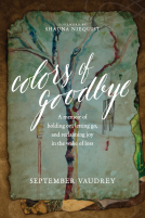 book cover for Colors of Goodbye
