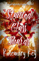 book cover for Stained Glass Shards